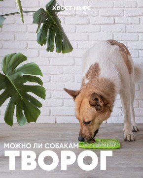 ������ ��� �����: ����� �� ������� ������� ���� ���������?