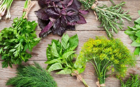 ������� ����������: ��� ������ �������� ��������� ��������