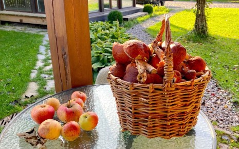 ������� �������: ��� ���� ����� ��������� ������� �������