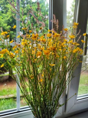 ������ �������: ������� � ������ ��� ����������� ������