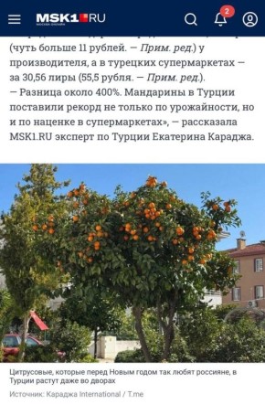 ���������: ������ ������ ����