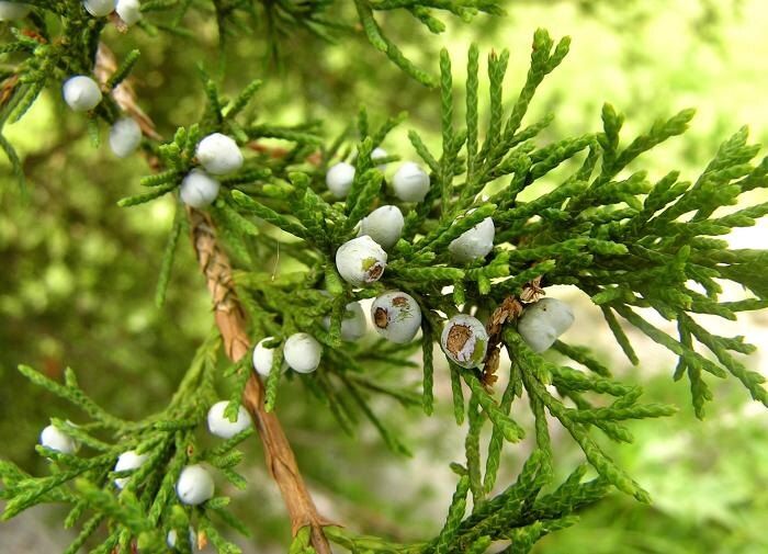 ��� ��� ������ ��� ������ ������� �� ����