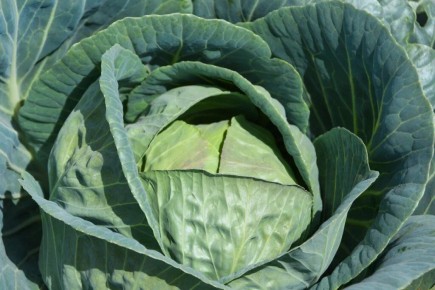 ������ �������� ������� � �������� ��� ������ ��������