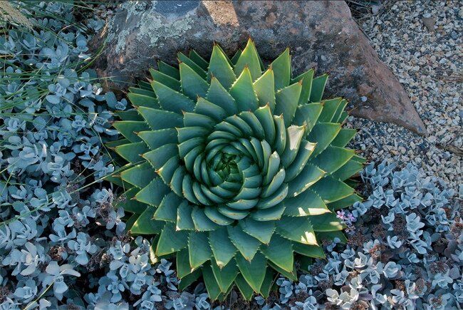 ���� �������������: ��� ��������� �� ������������ ��������� �� �����������