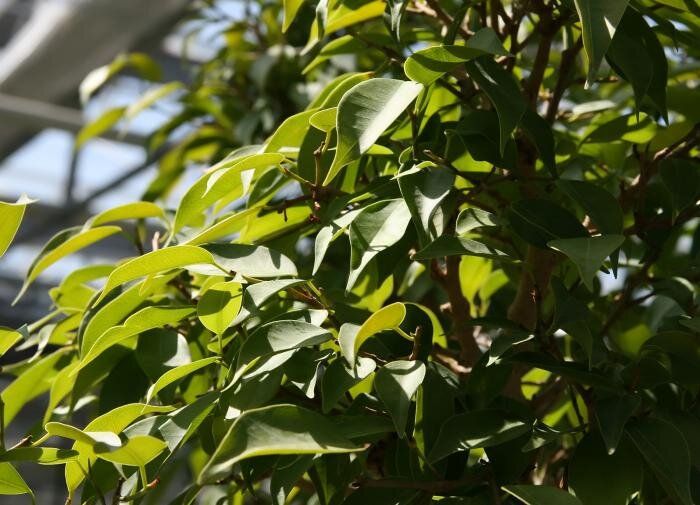 ����������� ���������� ������ ����������