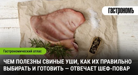 ������� ������ ����: �� ���������� �������� �� ������������ �������