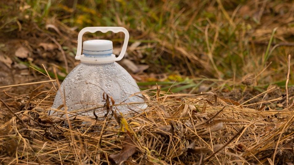 ��� ������� ���������� ���� ������: ������� ����������