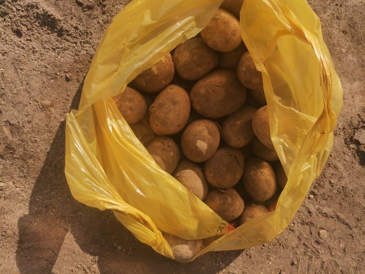 ���������� ���������: ������ �� �������� ��� �����������