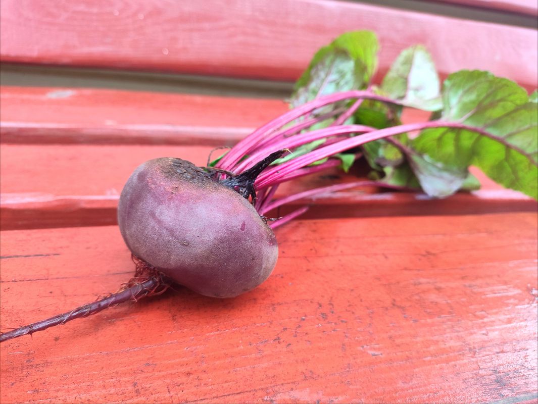 ��� ���������� ��������� ����� ��� ����� ������: ������ � ������������