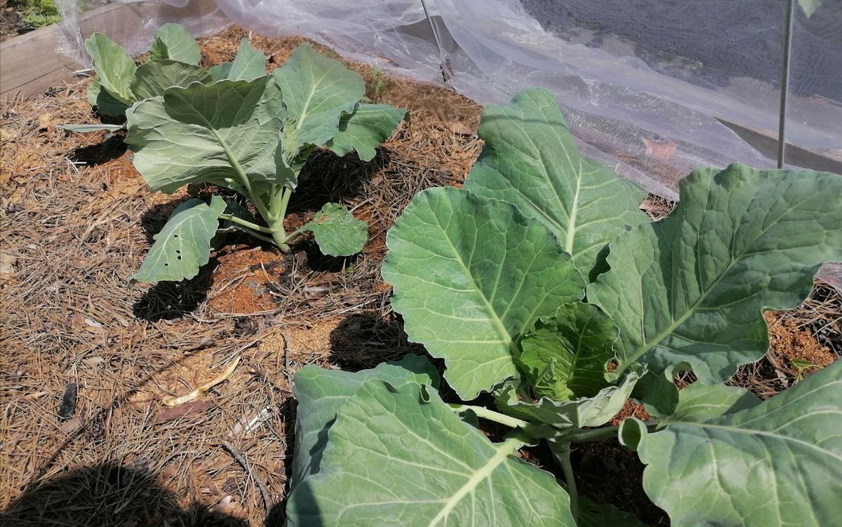 ��� �������� ������� �� ���������� � ������������� ���������� �������