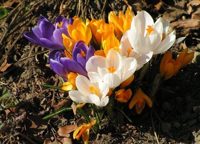 ��� ������������ �������� �������� 8 �����: ������� �������� ������� ����������