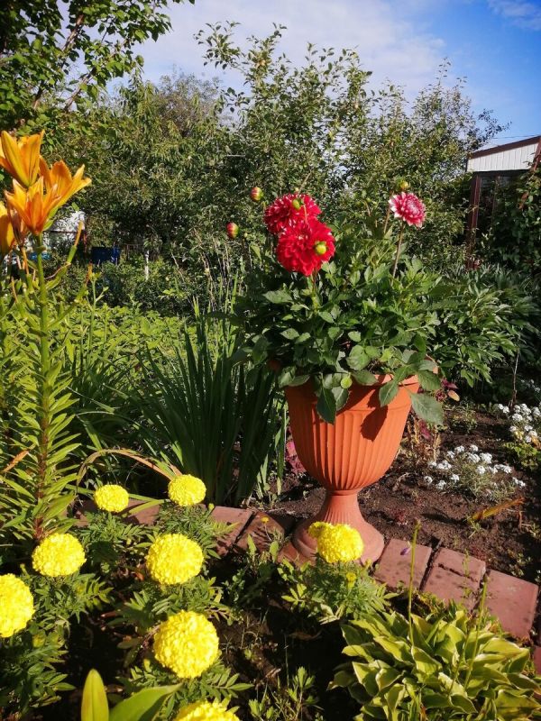 ��� ������������ �������� ����������� ���: ����������� ������ � ������