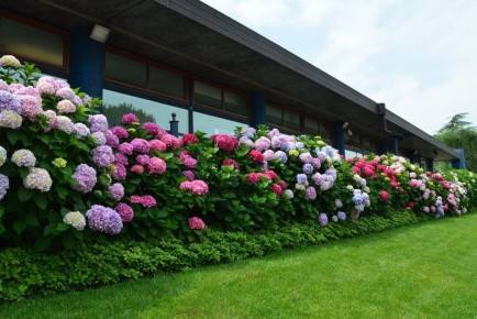 �������� ����� ��������: ����� ����� � ����������� �������