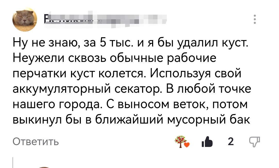 Штраф за выброс садового мусора: что нужно знать садоводам в 2025 году