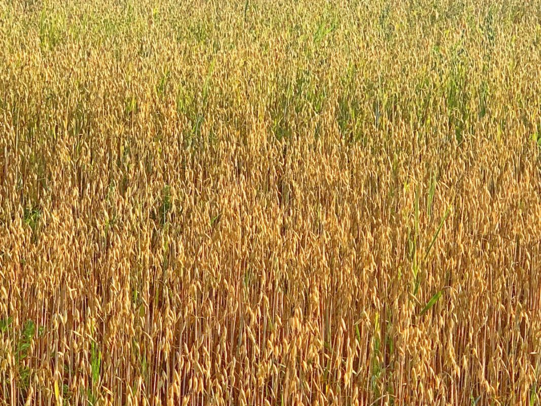 ���: ������� � �������� � ������� �����