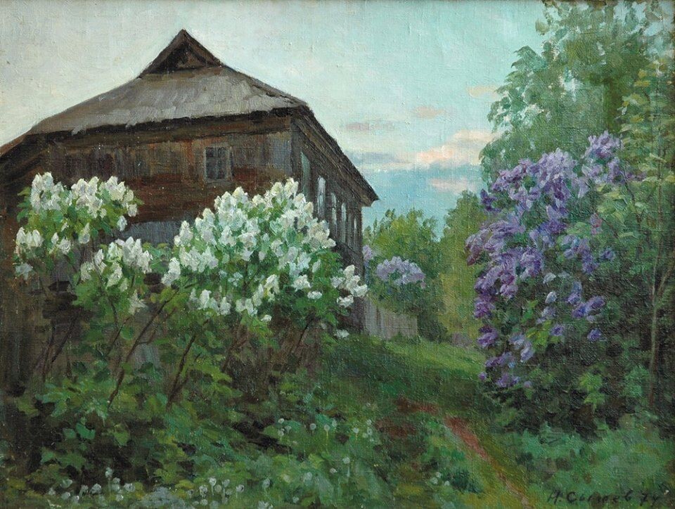 Библиотечные будни деревни: от забот до неожиданностей