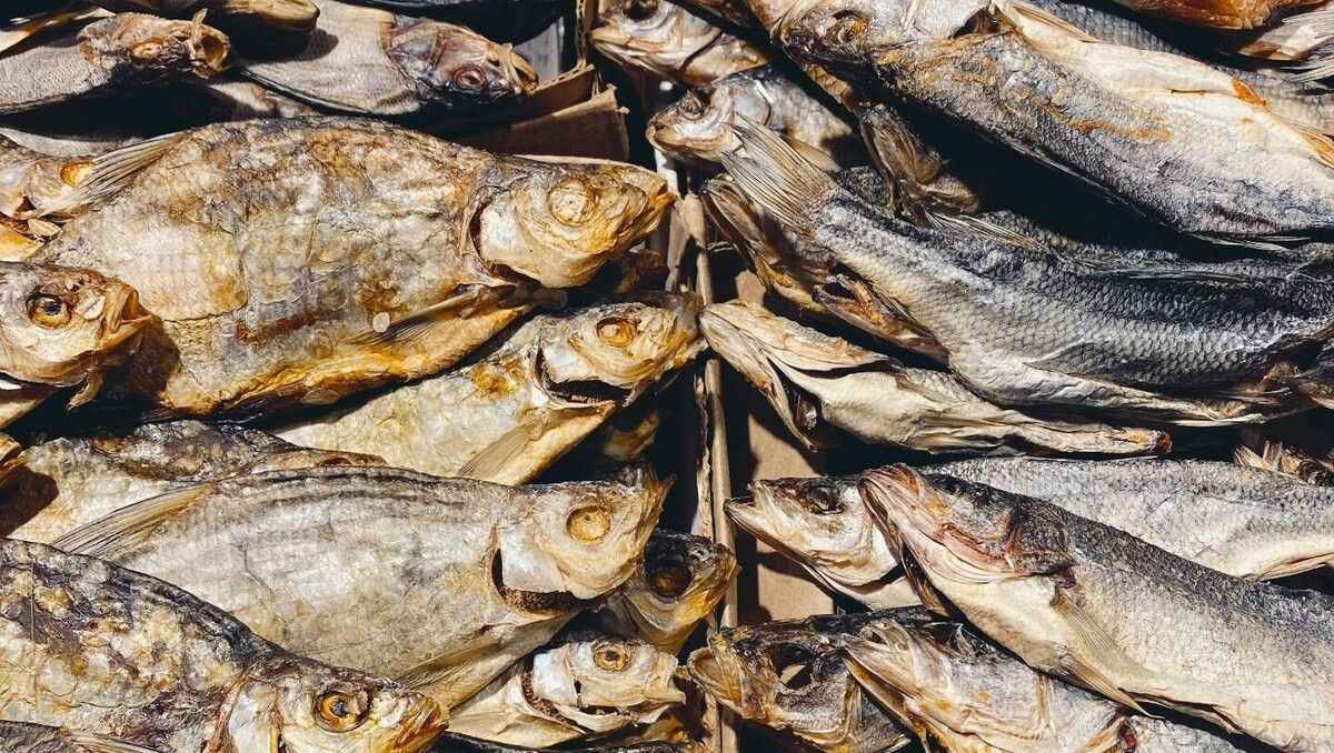 ������ ����������� �� ���� ���� ������ ����