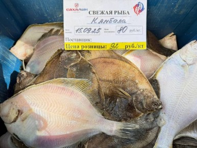 ������� ������ ������� �� �������� ���� � ������ ������