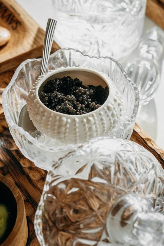 120 ��� ����� �����������: ����������� ���� �� ���-������ ��������� Savva