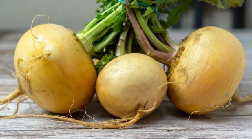 ����: ������� ���������, �������������� �� ���� �������