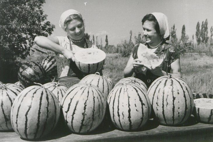 ����� ��� ������: ��� ����� �������� ������������� �������