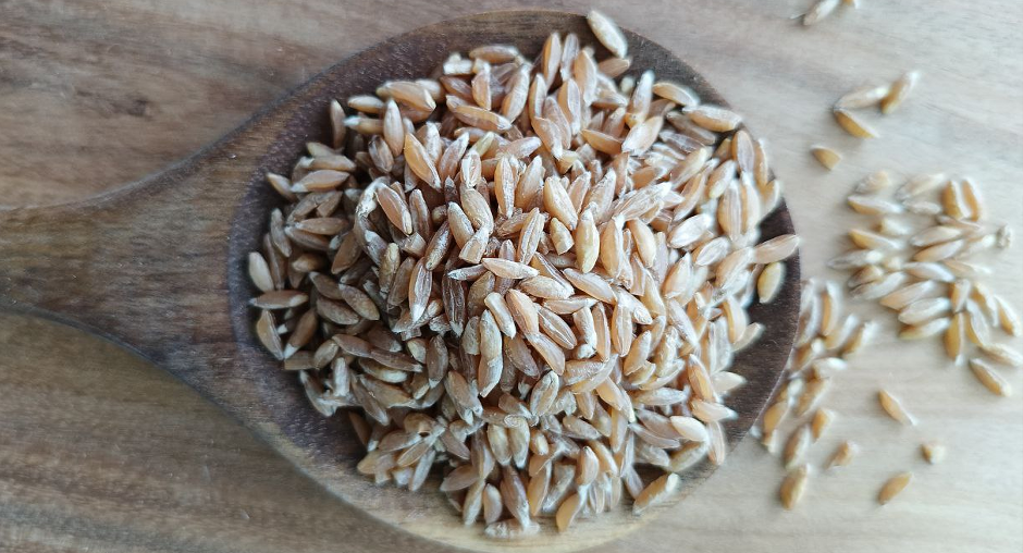 Возрождение полбы: древний злак вновь на наших столах