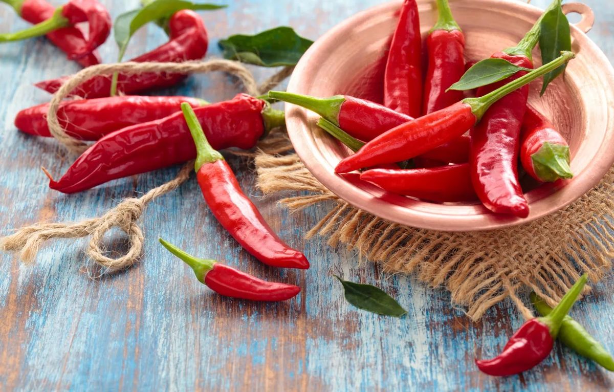 ��� ��������� �������� ������� � �����: ������� � ������