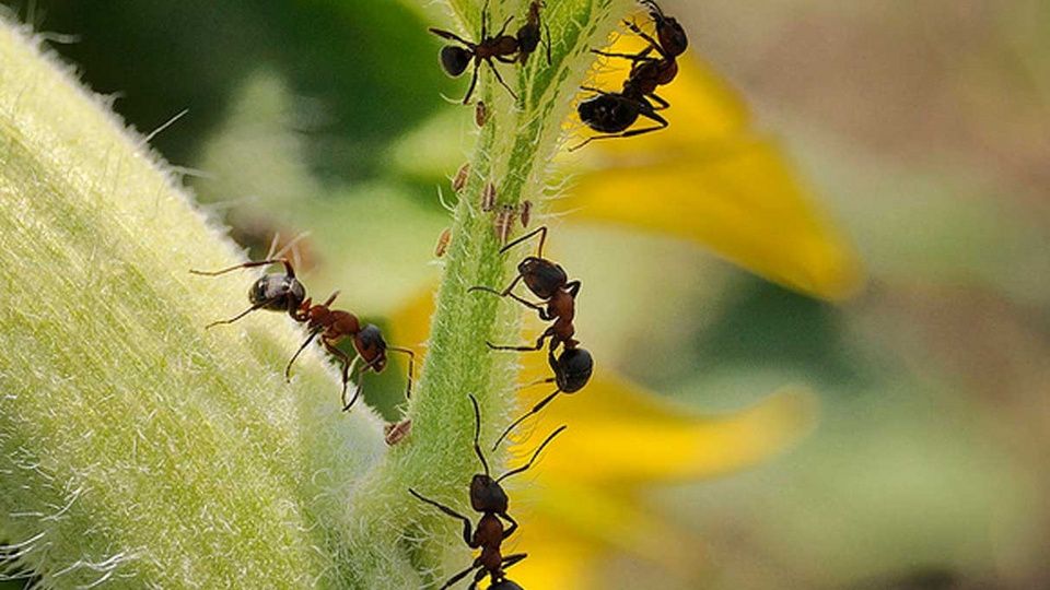 ��� ���������� � ��������� �� ����: �������� ������ � ������ ������ ������