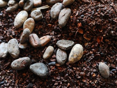 ���� �� �����-���� ������� ���� 4 ����� �������� �� �����