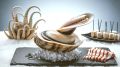 Удивительные морепродукты, которые страшат, но манят