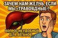 Почему желчь говорит о нашей настоящей диете?