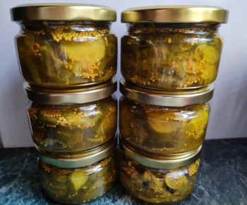 ������ ��� ��������: ��������� ������ � ����� ���������