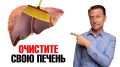 Что ждет вашу печень после 40: опасности и советы по поддержке
