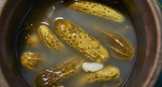 Соленые огурцы по-немецки: от шпревальдских традиций до современных рецептов