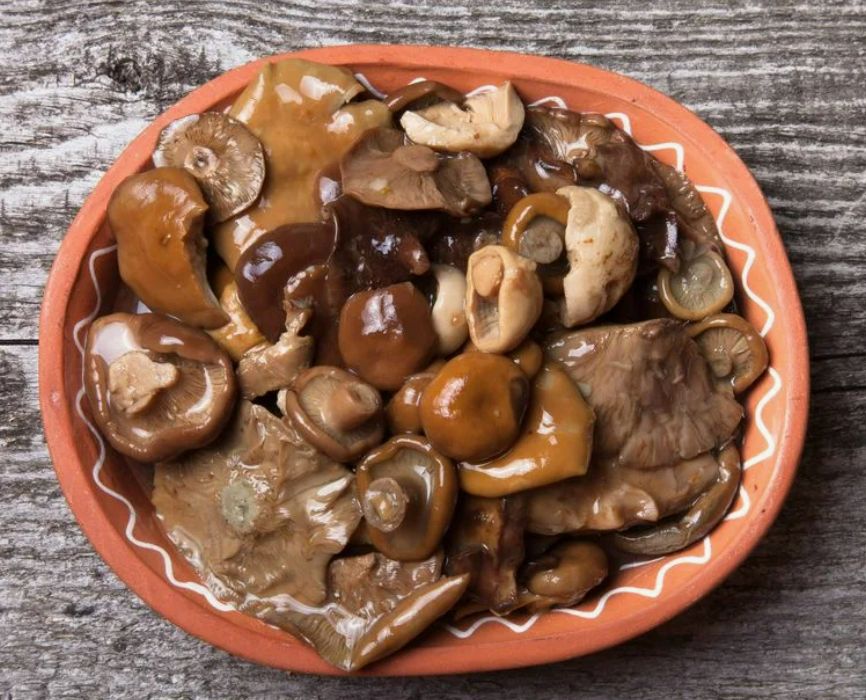 Как правильно замариновать свинушки по бабушкиному рецепту