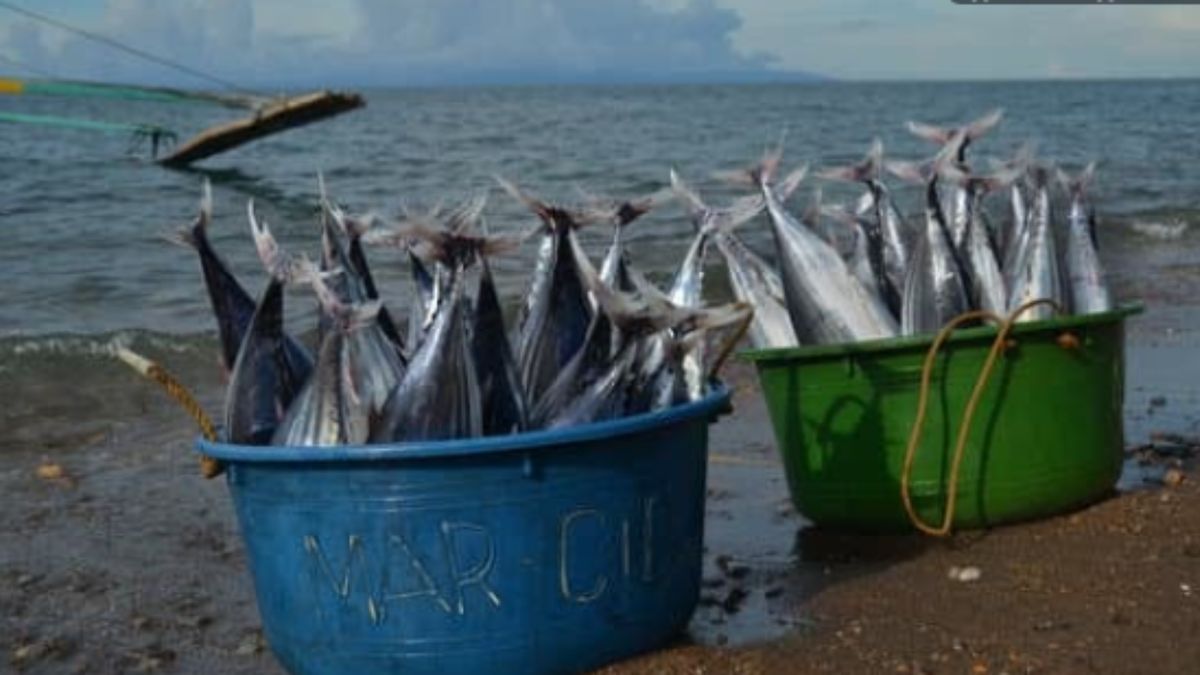 ����� ��� ����������� ������: �������� �������� � ������� �������