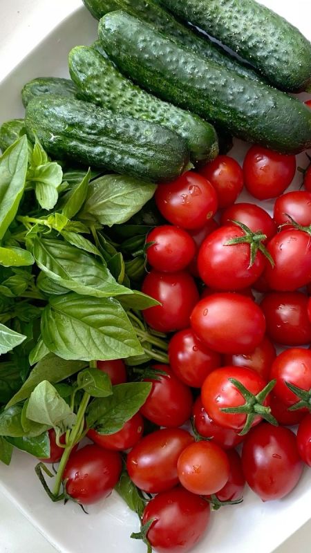 ��� ����� ����� �������� ���� �����: ����� ������ ������ � ����������