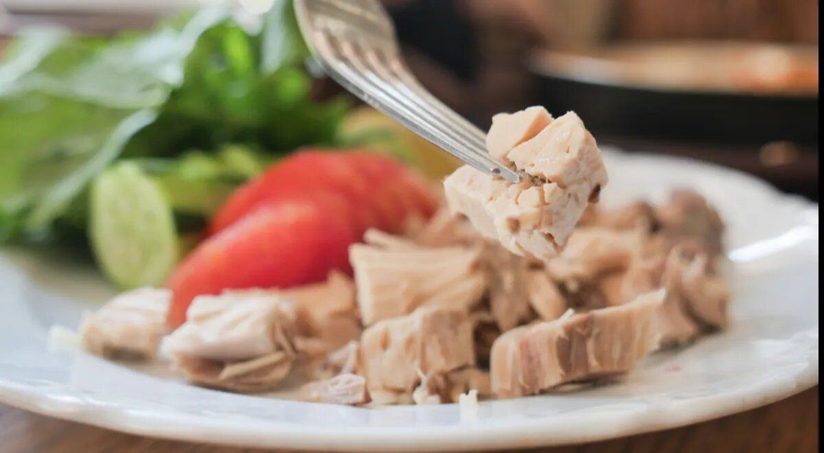 ������ ������� ����� ����� ���� �������� ������