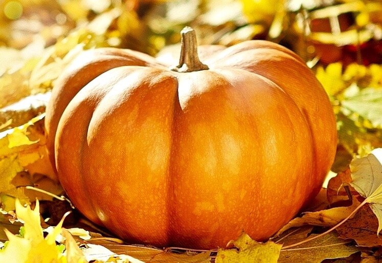 Тыквенные рецепты, которые стоит попробовать этой осенью