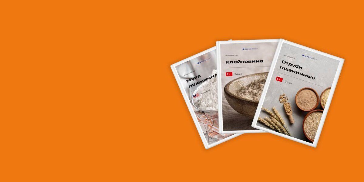 ������ � ��������: ��� ������ ��������� ������� �� ������������� ����� �������