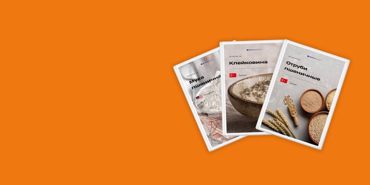 Турция и Малайзия: Как Россия укрепляет позиции на международном рынке пшеницы