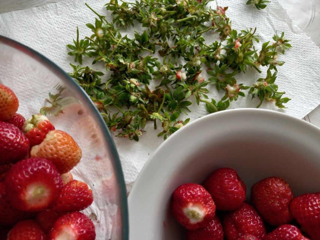 Найдите время для себя: как баловать себя на каждый день