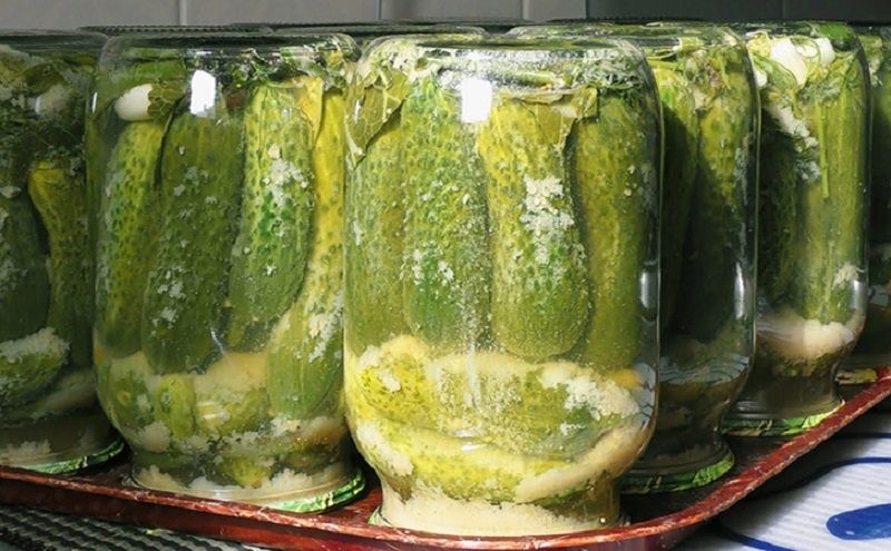 Маринованные огурцы с горчицей: как добавить яркий вкус в зимние заготовки