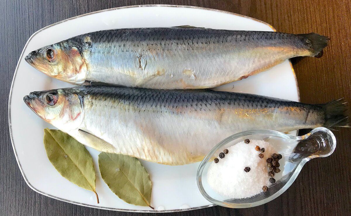 Засолка сельди: секреты домашнего рецепта