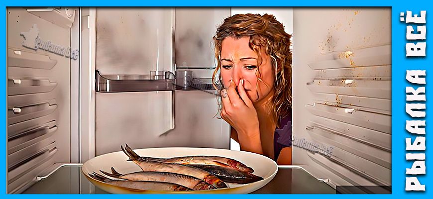 ��������� ����������� ����: ��� ������� � ��� ������ � ������ ����������