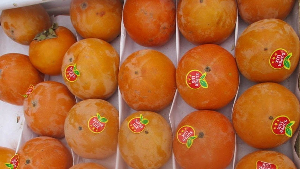 В Оренбуржье зафиксирована крупная попытка ввоза испорченной хурмы