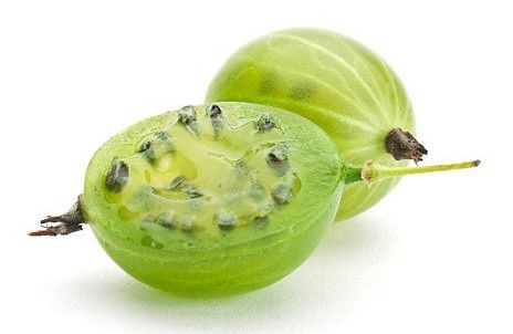 ��������� ������������� ���� � �������: ��������� ��������� ������