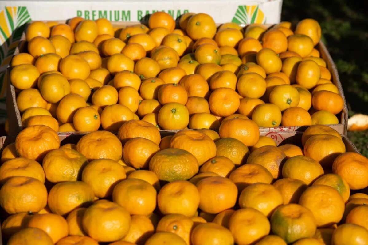 ����� ���������� ���������: �� ����� �� �����