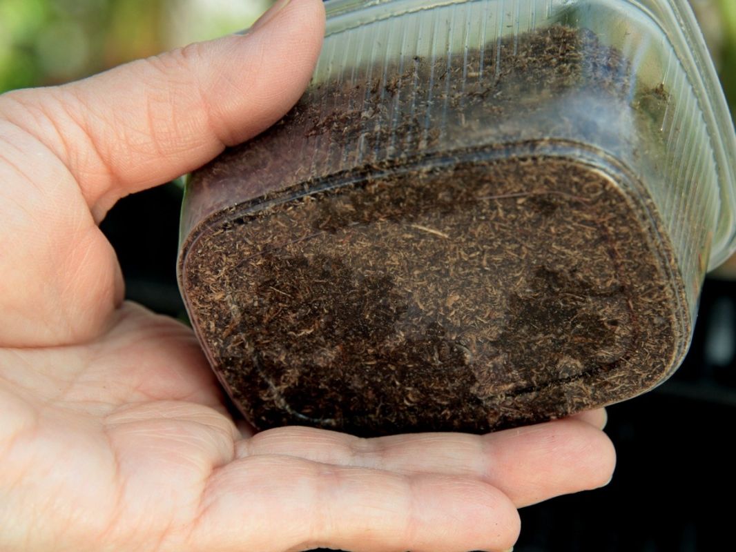 ����������� ������ � ����������: ������� ���������