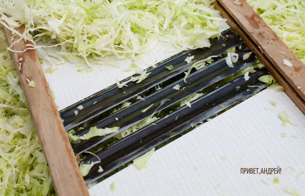 Как правильно квасить капусту: лучшие рецепты на любой вкус